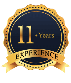 10+ Years Experience