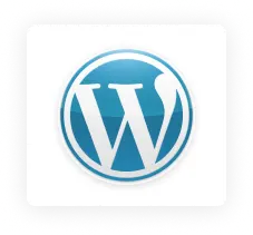 Wordpress Icon