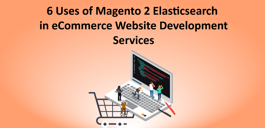 eCommerce Website Development Services Delhi