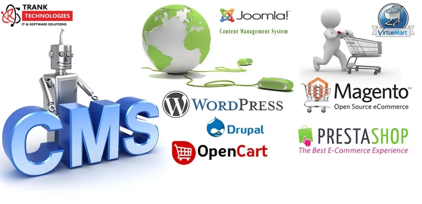 CMS Web Development company