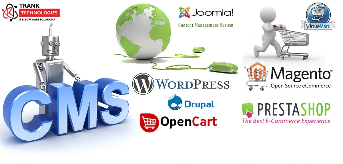 CMS Web Development company